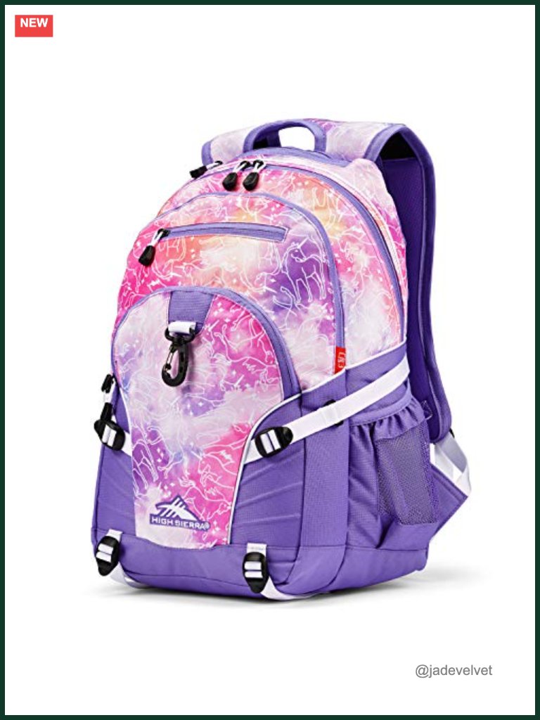 High Sierra Loop Backpack With Tablet Sleeve, Daypack For Travel Or Work